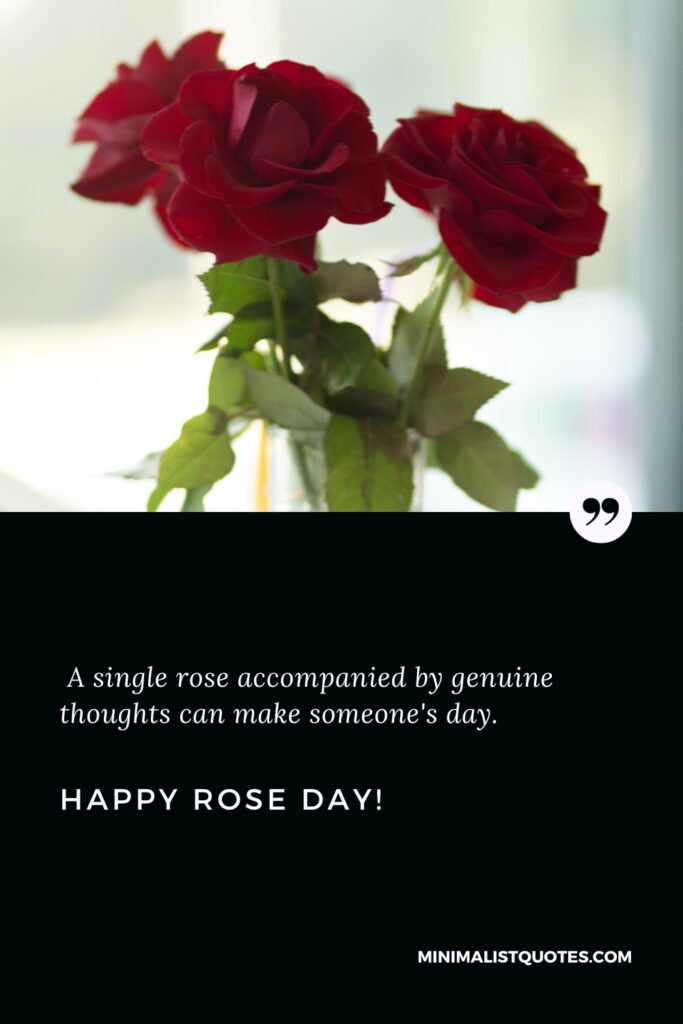 Happy Rose Day Quotes: A single rose accompanied by genuine thoughts can make someone's day. Happy Rose Day!