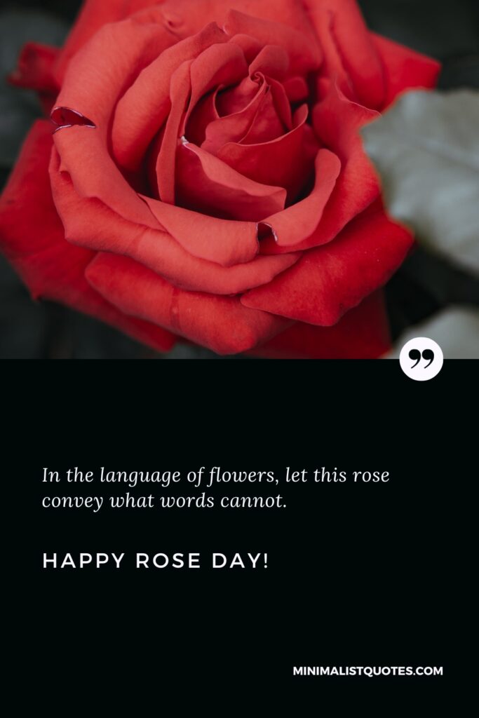 Happy Rose Day Quotes: In the language of flowers, let this rose convey what words cannot. Happy Rose Day!