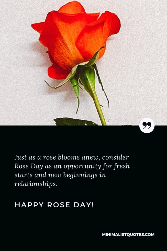 Happy Rose Day Quotes: Just as a rose blooms anew, consider Rose Day as an opportunity for fresh starts and new beginnings in relationships. Happy Rose Day!