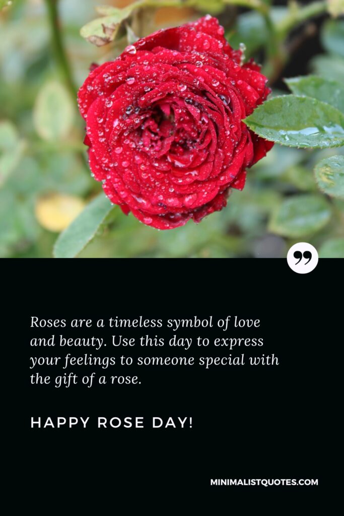 Happy Rose Day Quotes: Roses are a timeless symbol of love and beauty. Use this day to express your feelings to someone special with the gift of a rose. Happy Rose Day!