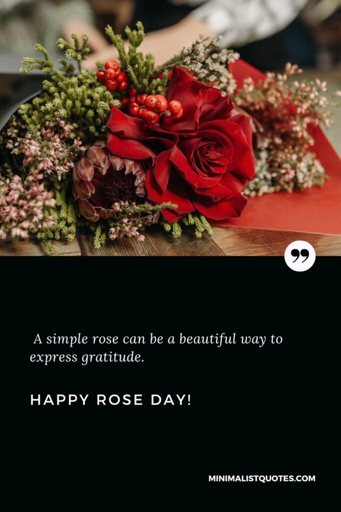 Happy Rose Day Quotes: A simple rose can be a beautiful way to express gratitude. Happy Rose Day!