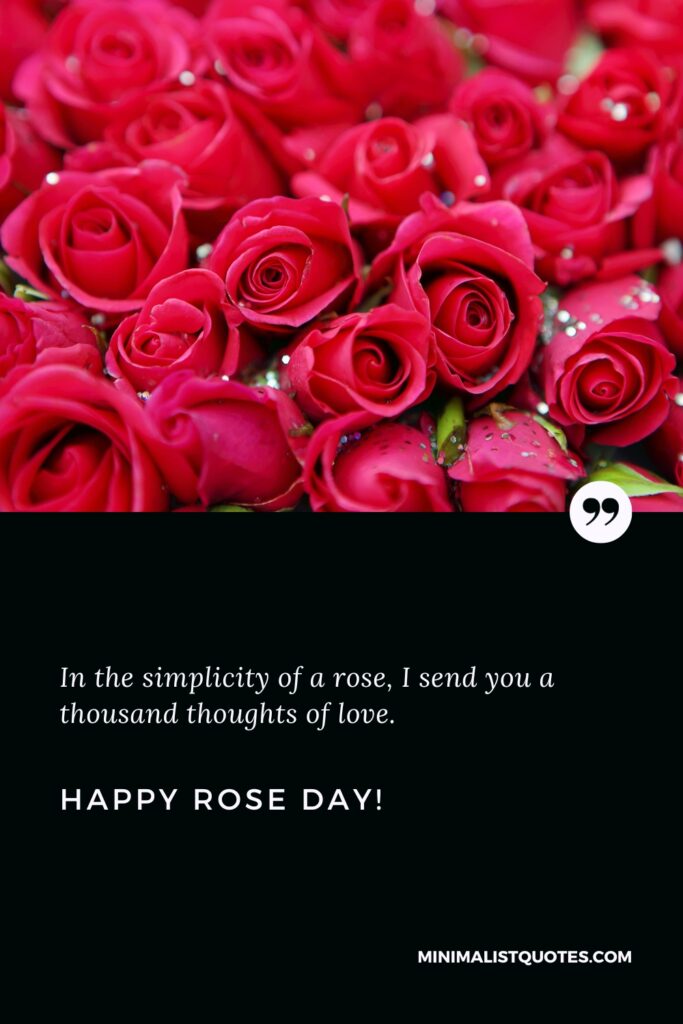 Happy Rose Day Quotes: In the simplicity of a rose, I send you a thousand thoughts of love. Happy Rose Day!