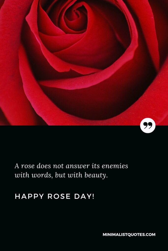 Happy Rose Day Wishes: A rose does not answer its enemies with words, but with beauty. Happy Rose Day!