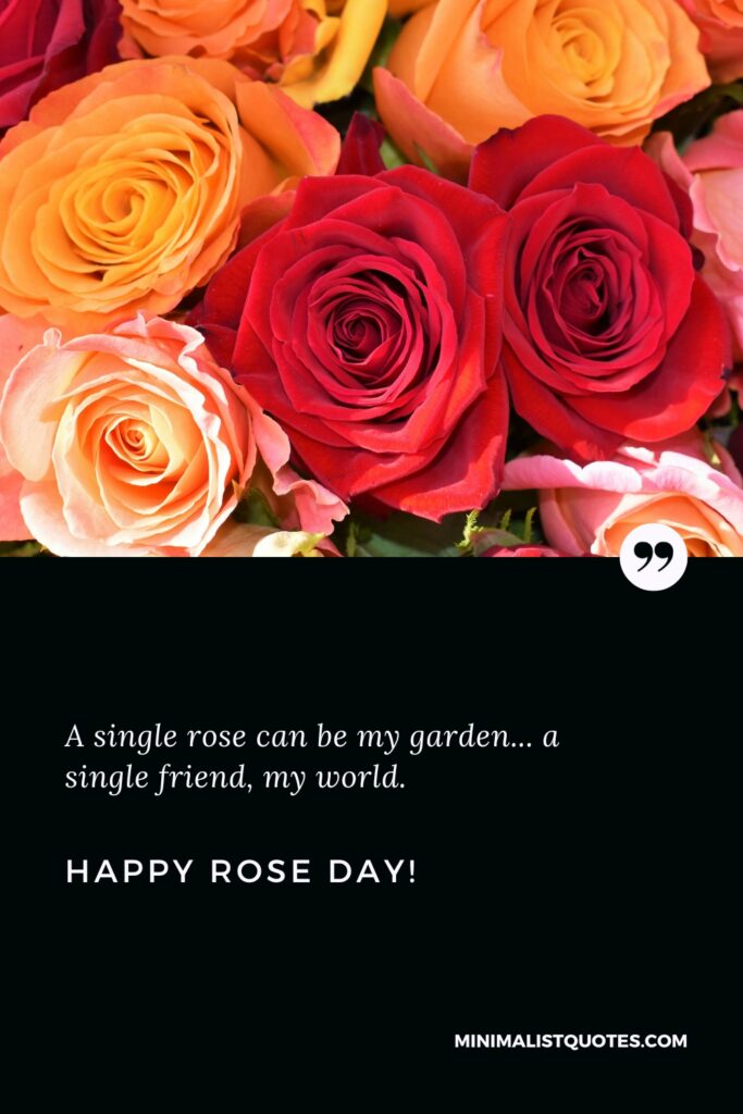 Happy Rose Day Wishes: A single rose can be my garden... a single friend, my world. Happy Rose Day!