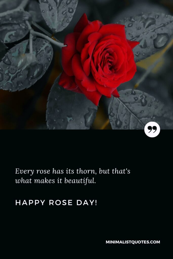 Happy Rose Day Wishes: Every rose has its thorn, but that's what makes it beautiful. Happy Rose Day!