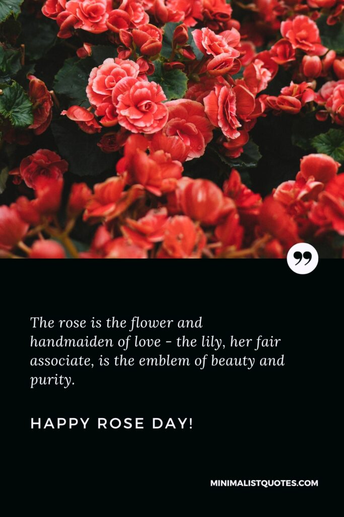 Happy Rose Day Wishes: The rose is the flower and handmaiden of love - the lily, her fair associate, is the emblem of beauty and purity. Happy Rose Day!
