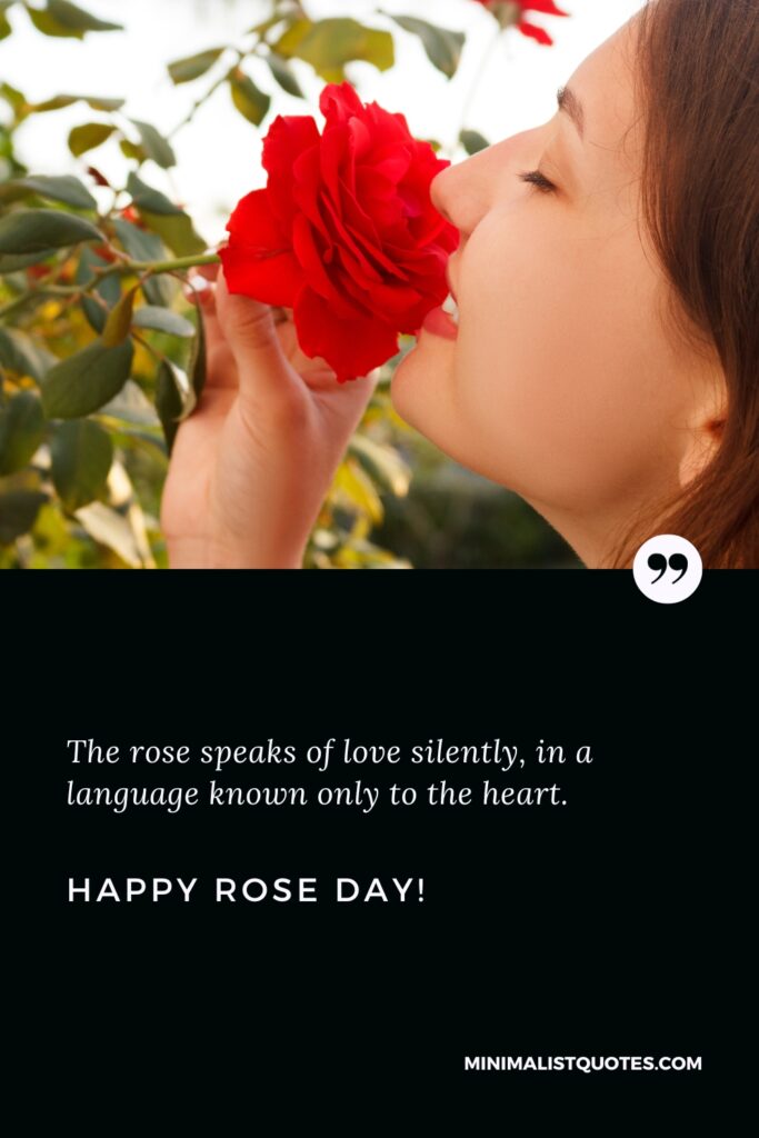 Happy Rose Day Wishes: The rose speaks of love silently, in a language known only to the heart. Happy Rose Day!