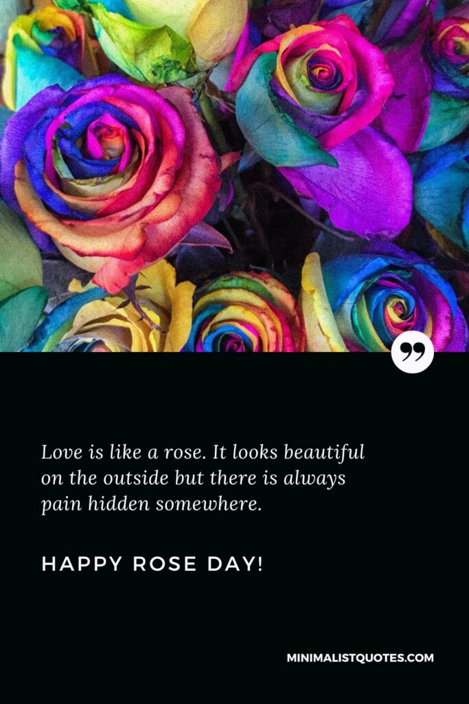 Happy Rose Day Wishes: Love is like a rose. It looks beautiful on the outside but there is always pain hidden somewhere. Happy Rose Day!