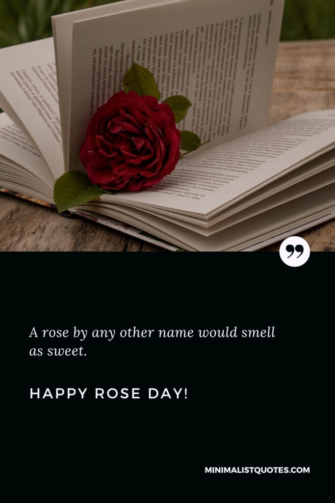 Happy Rose Day: A rose by any other name would smell as sweet. Happy Rose Day!
