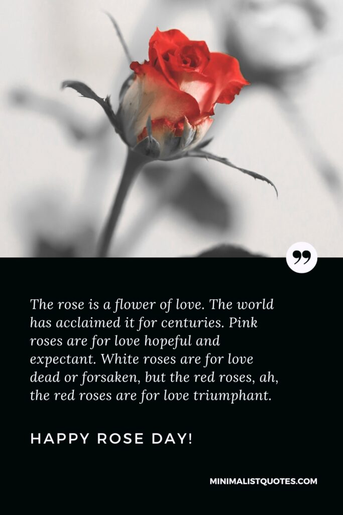 Happy Rose Day Wishes: The rose is a flower of love. The world has acclaimed it for centuries. Pink roses are for love hopeful and expectant. White roses are for love dead or forsaken, but the red roses, ah, the red roses are for love triumphant. Happy Rose Day!