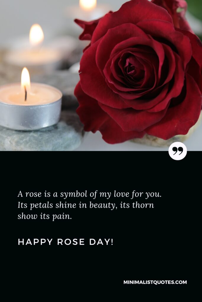 Happy Rose Day Wishes: A rose is a symbol of my love for you. Its petals shine in beauty, its thorn show its pain. Happy Rose Day!
