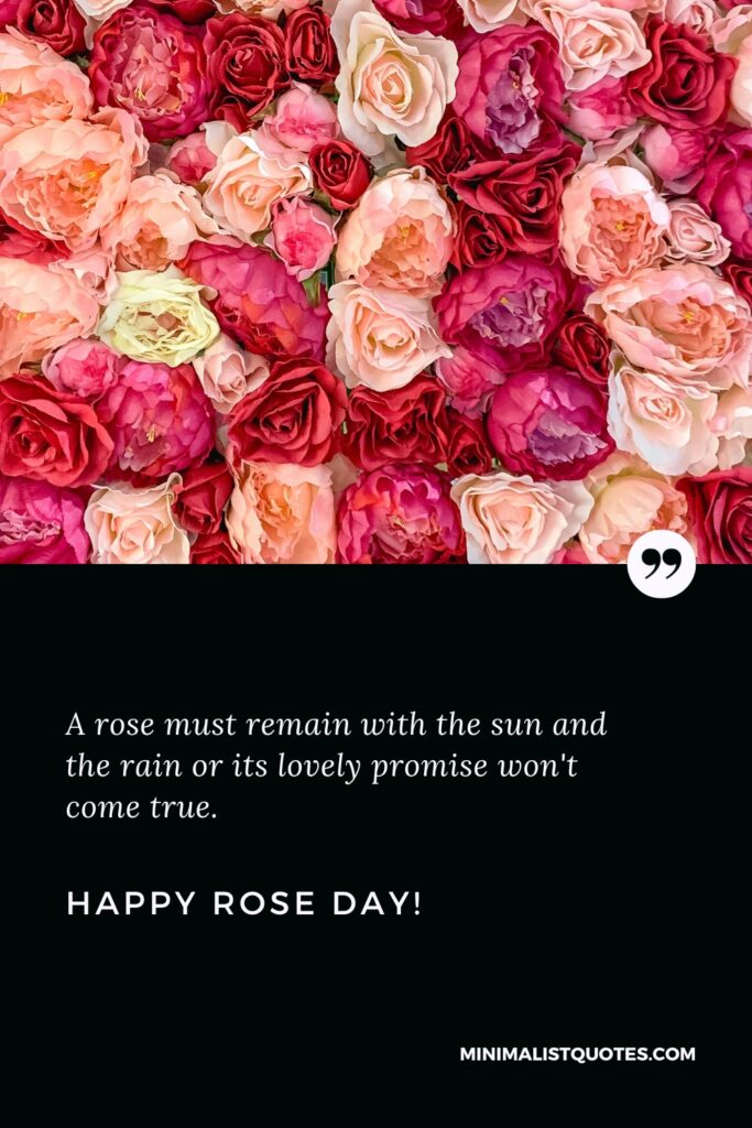 Happy Rose Day Wishes: A rose must remain with the sun and the rain or its lovely promise won't come true. Happy Rose Day!