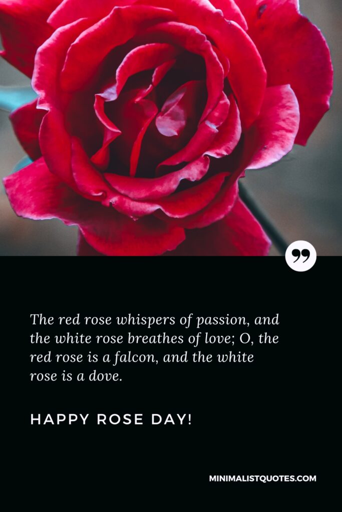 Happy Rose Day Wishes: The red rose whispers of passion, and the white rose breathes of love; O, the red rose is a falcon, and the white rose is a dove.