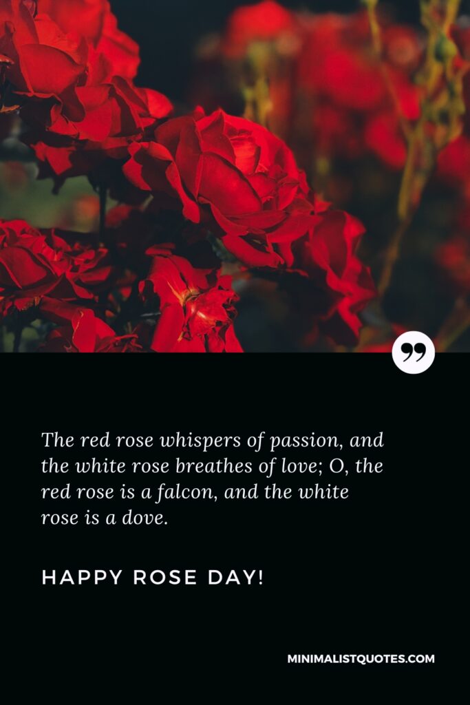 Happy Rose Day Wishes: Happy Rose Day Wishes: The red rose whispers of passion, and the white rose breathes of love; O, the red rose is a falcon, and the white rose is a dove. Happy Rose Day!