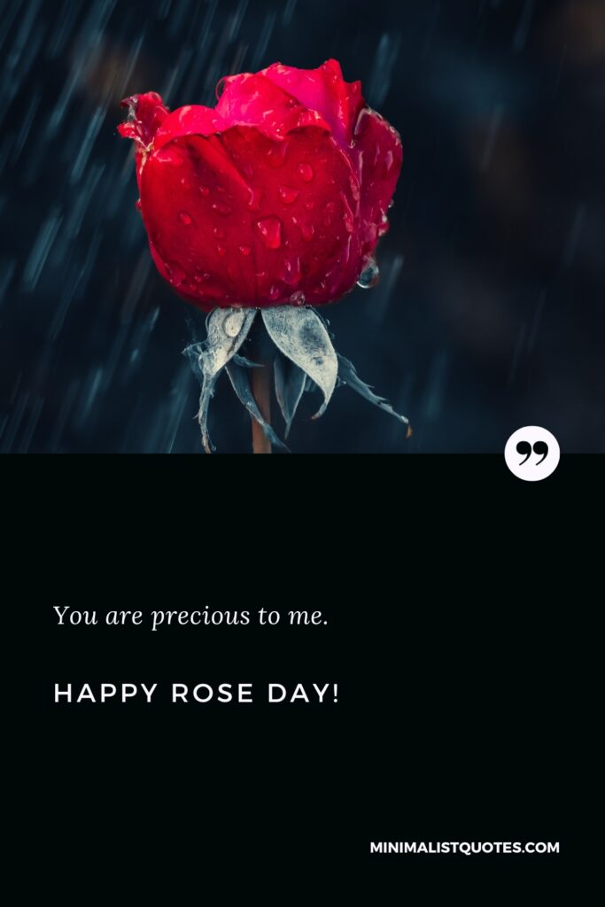 Happy Rose Day Wishes: You are precious to me. Happy Rose Day!