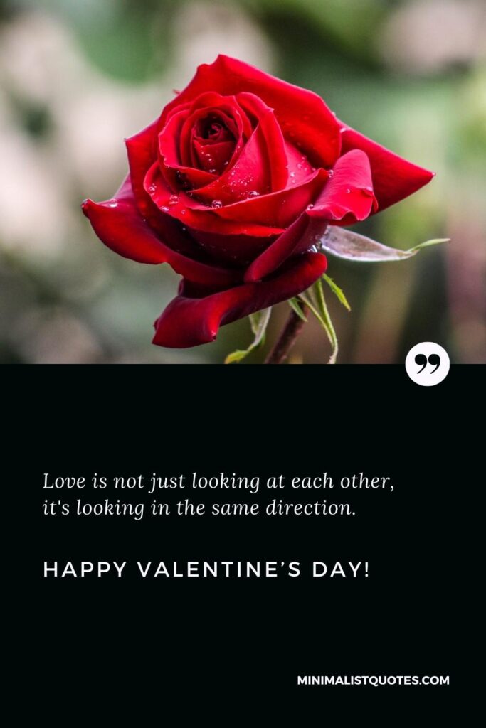 Happy Valentine's Day Greetings: Happy Valentine's Day Greetings: Love is not just looking at each other, it's looking in the same direction. Happy Valentine's Day!