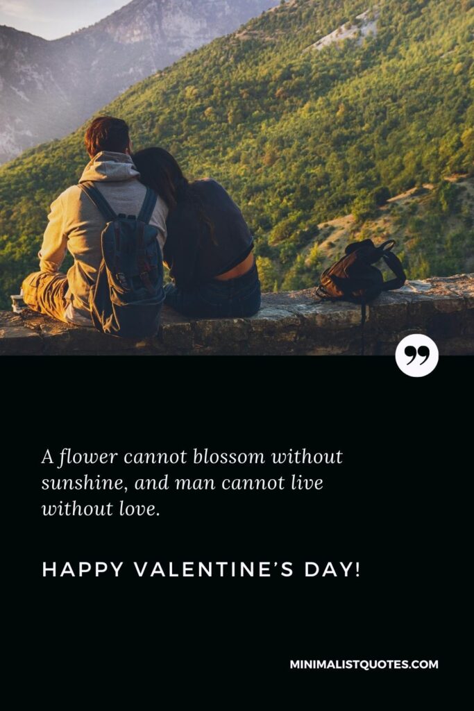 Happy Valentine's Day Wishes: A flower cannot blossom without sunshine, and man cannot live without love. Happy Valentine's Day!