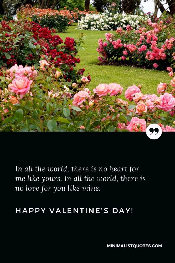 Happy Valentine's Day Wishes: In all the world, there is no heart for me like yours. In all the world, there is no love for you like mine. Happy Valentine's Day!