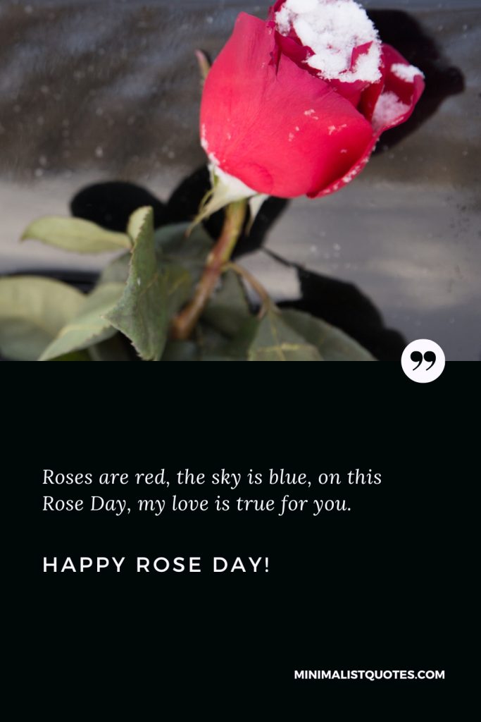 Happy Rose Day Thoughts: Roses are red, the sky is blue, on this Rose Day, my love is true for you. Happy Rose Day!