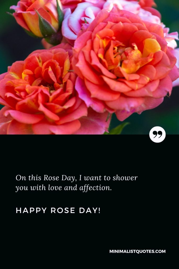 Happy Rose Day Thoughts: On this Rose Day, I want to shower you with love and affection. Happy Rose Day!