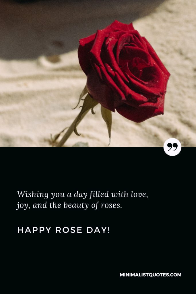 Happy Rose Day Thoughts: Wishing you a day filled with love, joy, and the beauty of roses. Happy Rose Day!