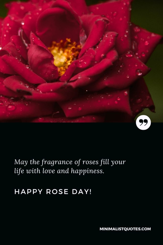 Happy Rose Day Thoughts: May the fragrance of roses fill your life with love and happiness. Happy Rose Day!