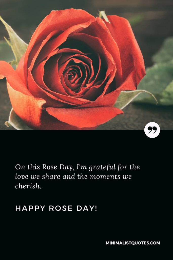 Happy Rose Day Thoughts: Happy Rose Day Thoughts: On this Rose Day, I'm grateful for the love we share and the moments we cherish. Happy Rose Day!