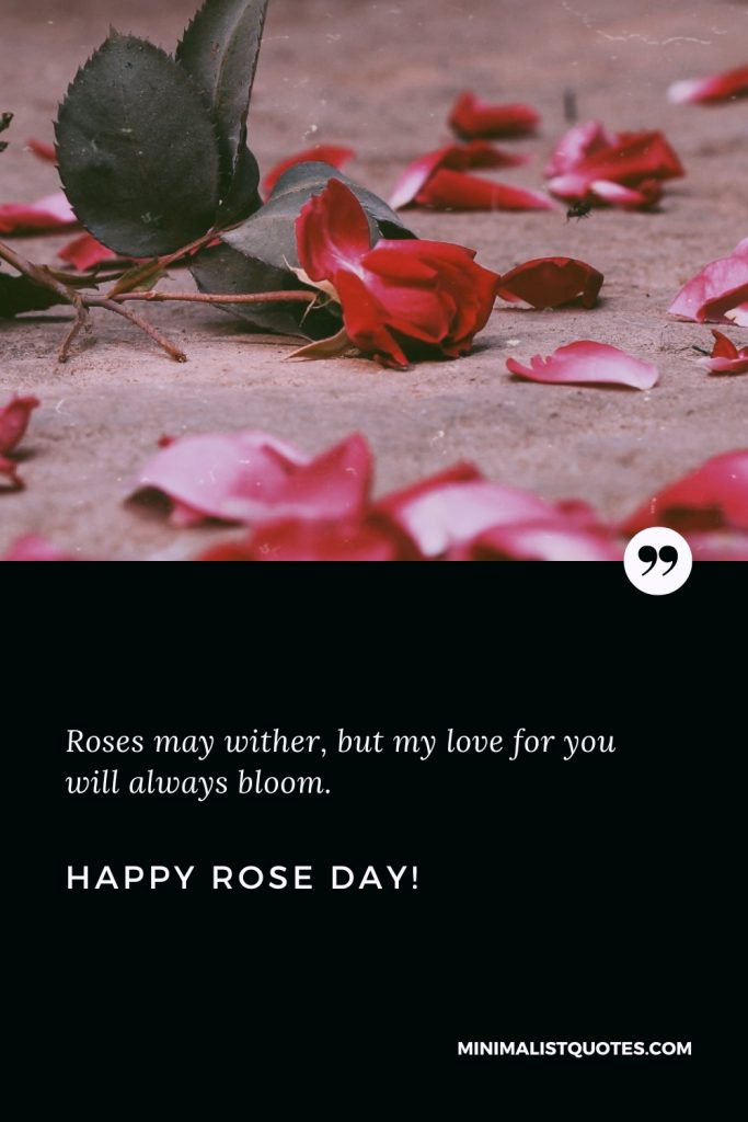 Happy Rose Day Thoughts: Roses may wither, but my love for you will always bloom. Happy Rose Day!