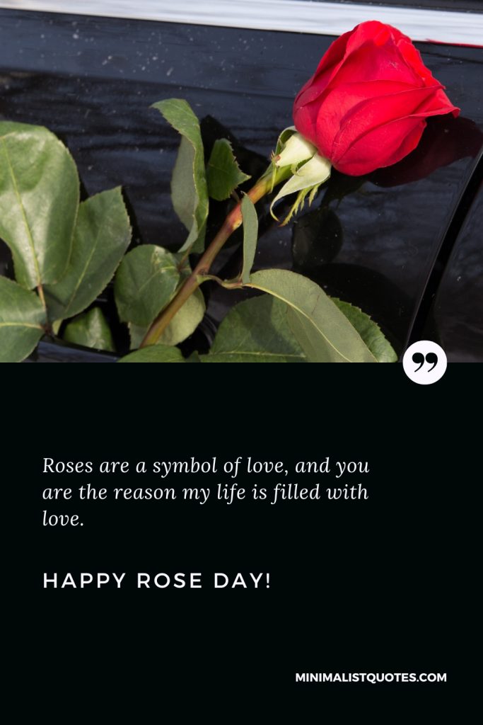 Happy Rose Day Thoughts: Roses are a symbol of love, and you are the reason my life is filled with love. Happy Rose Day!