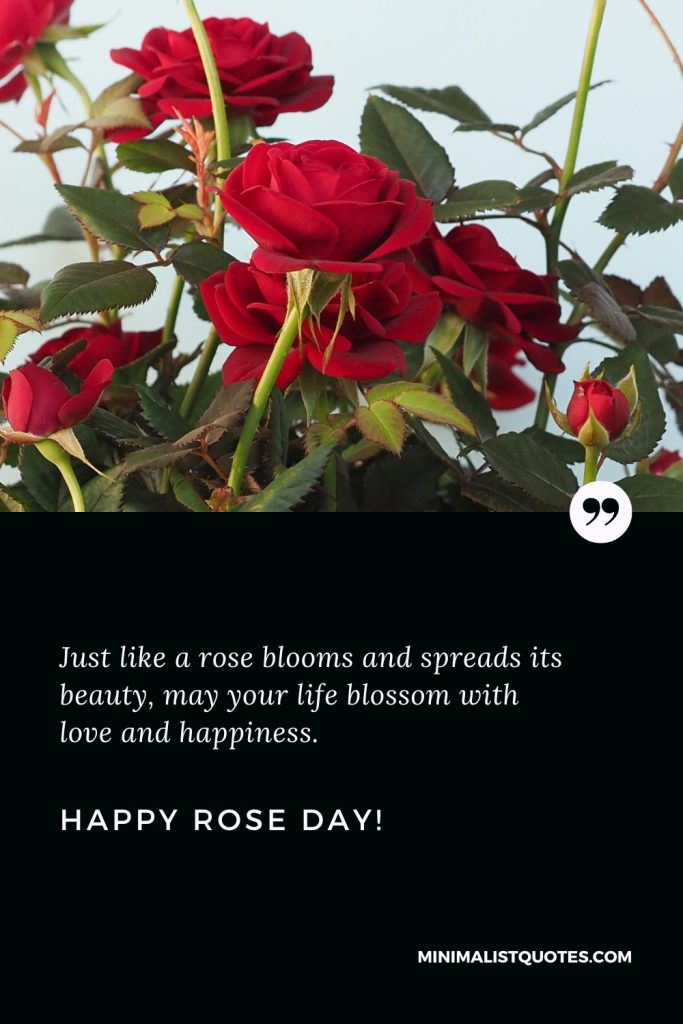 Happy Rose Day Thoughts: Just like a rose blooms and spreads its beauty, may your life blossom with love and happiness. Happy Rose Day!