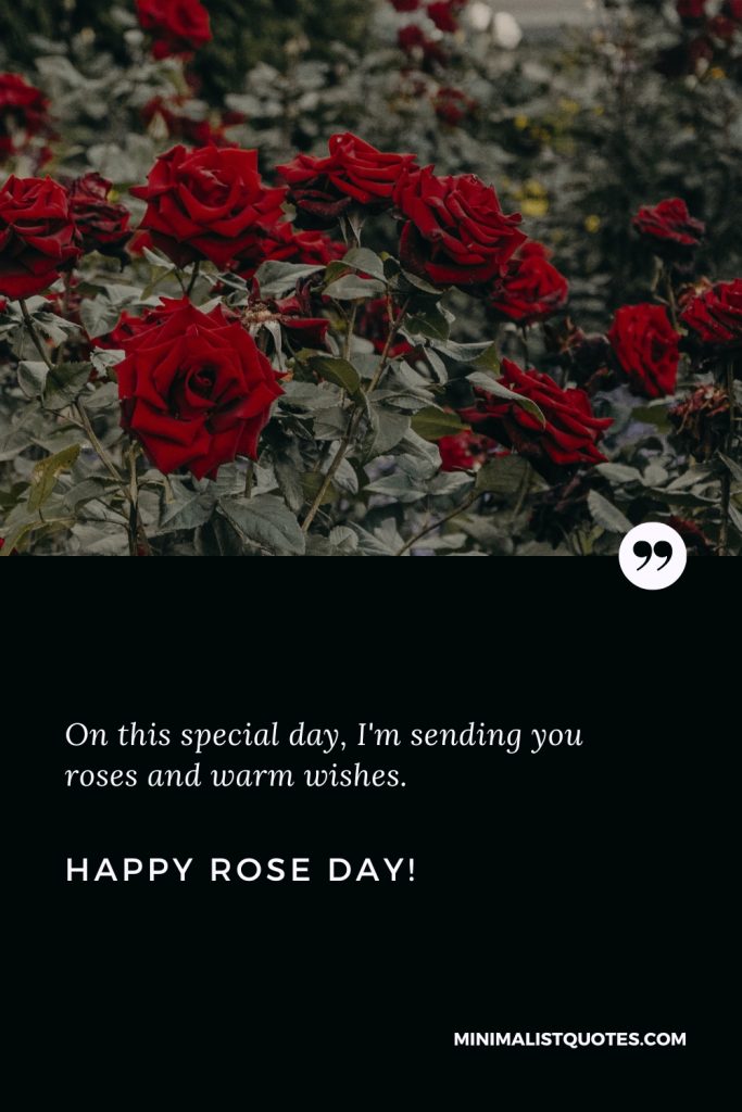 Happy Rose Day Thoughts: On this special day, I'm sending you roses and warm wishes. Happy Rose Day!