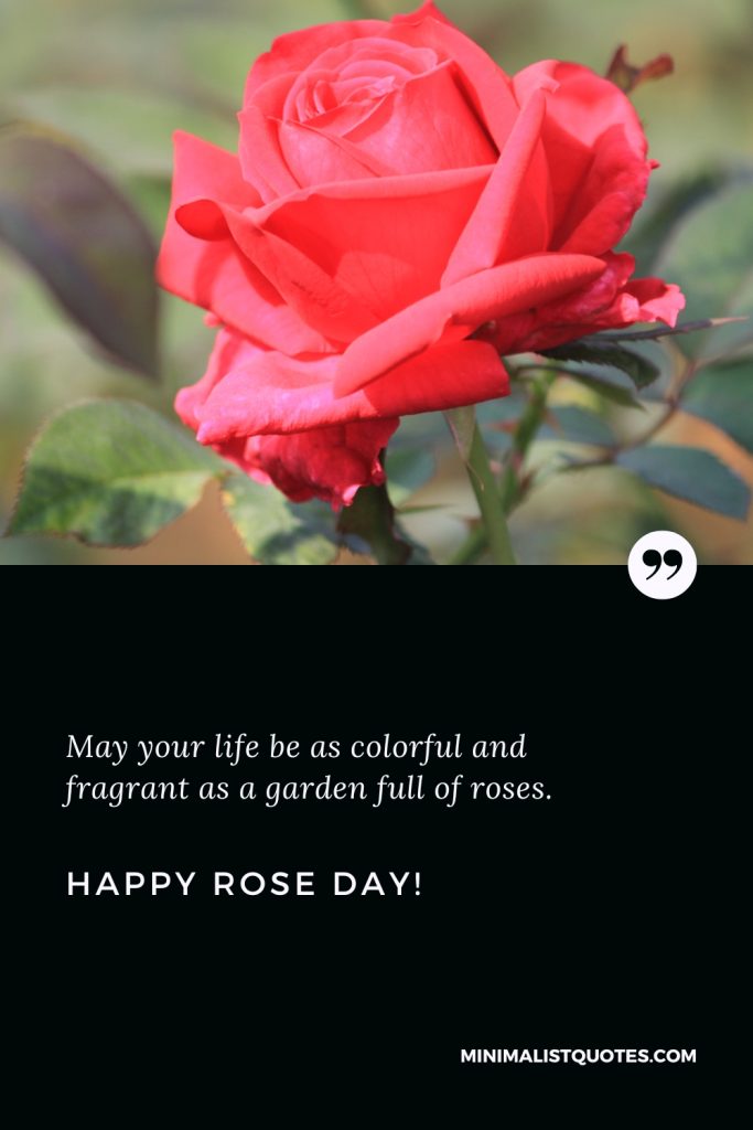 Happy Rose Day Wishes: May your life be as colorful and fragrant as a garden full of roses. Happy Rose Day!