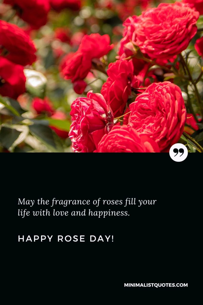 Happy Rose Day Wishes: May the fragrance of roses fill your life with love and happiness. Happy Rose Day!