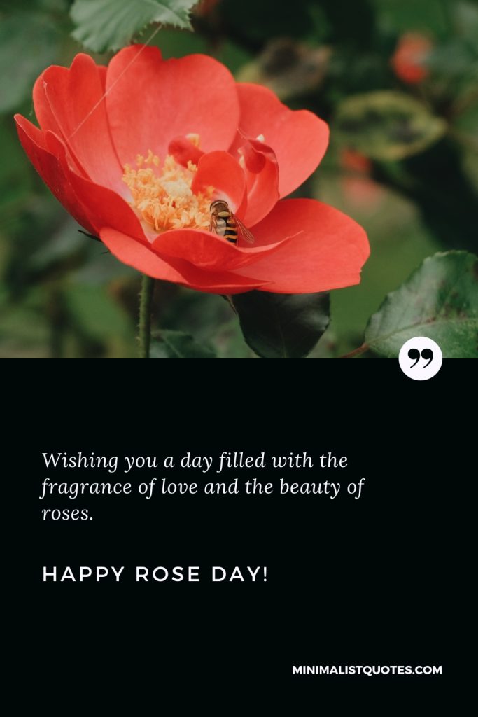 Happy Rose Day Wishes: Wishing you a day filled with the fragrance of love and the beauty of roses. Happy Rose Day!