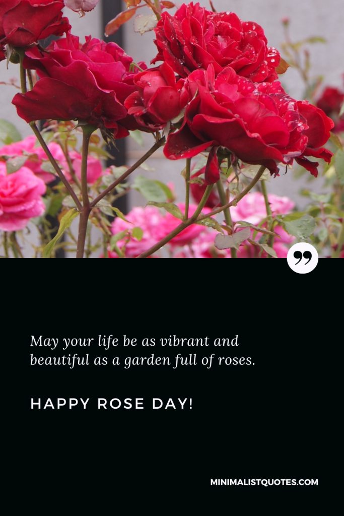 Happy Rose Day Wishes: May your life be as vibrant and beautiful as a garden full of roses. Happy Rose Day!