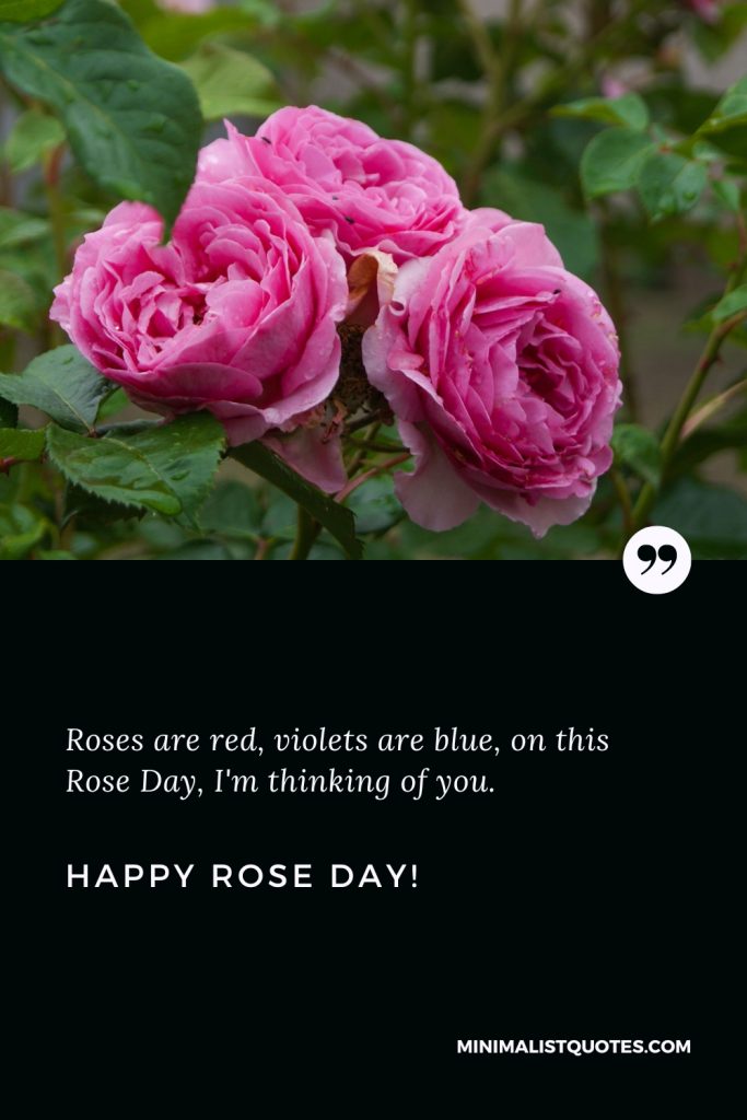 Happy Rose Day Wishes: Roses are red, violets are blue, on this Rose Day, I'm thinking of you. Happy Rose Day!