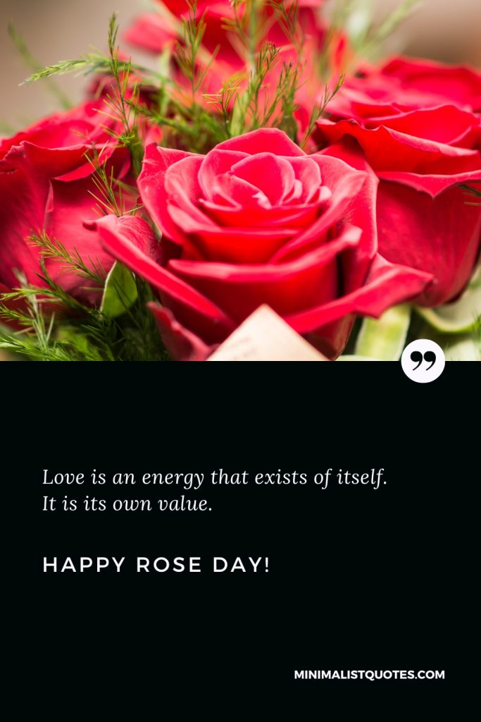 Happy Rose Day Wishes: Love is an energy that exists of itself. It is its own value. Happy Rose Day!