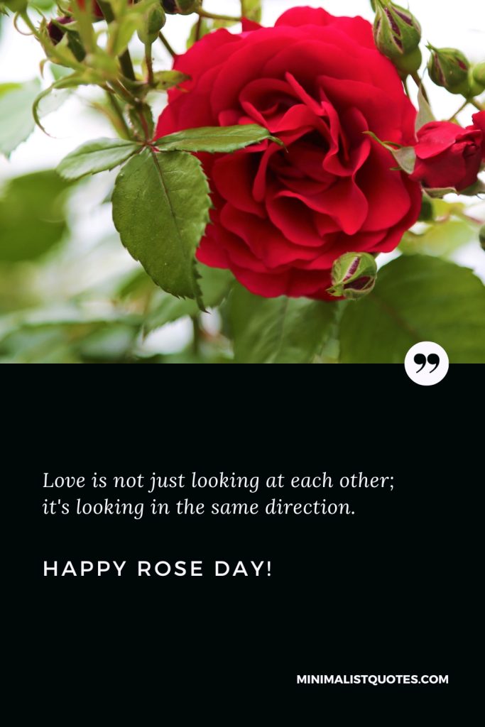 Happy Rose Day Wishes: Love is not just looking at each other; it's looking in the same direction. Happy Rose Day!