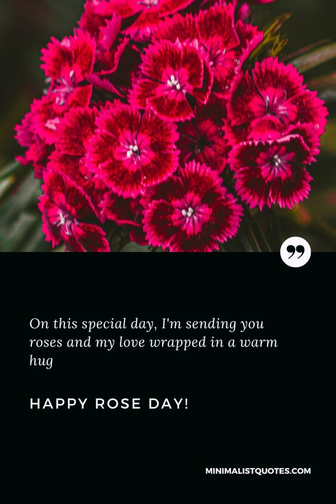 Happy Rose Day Wishes: On this special day, I'm sending you roses and my love wrapped in a warm hug. Happy Rose Day!