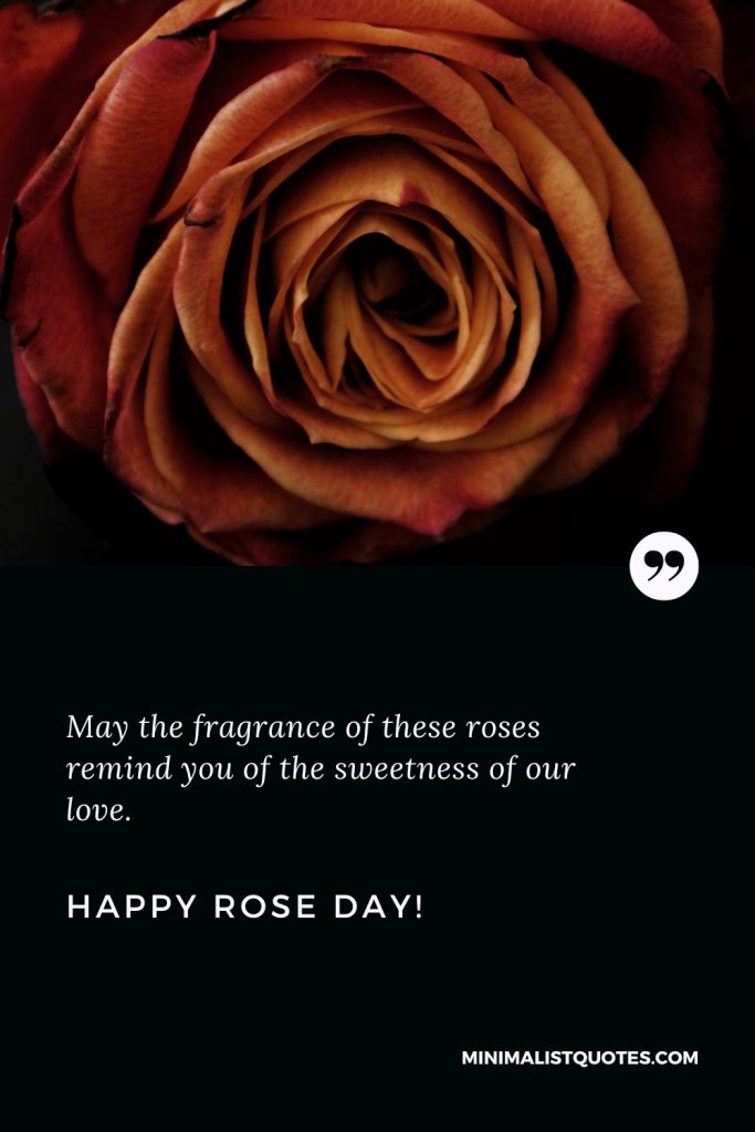 Happy Rose Day Wishes: May the fragrance of these roses remind you of the sweetness of our love. Happy Rose Day!