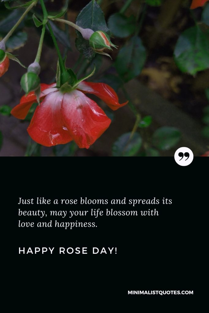 Happy Rose Day Wishes: Just like a rose blooms and spreads its beauty, may your life blossom with love and happiness. Happy Rose Day!
