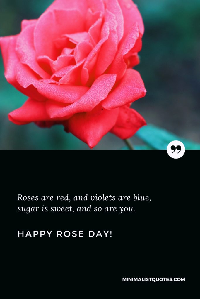 Happy Rose Day Wishes: Roses are red, and violets are blue, sugar is sweet, and so are you. Happy Rose Day!