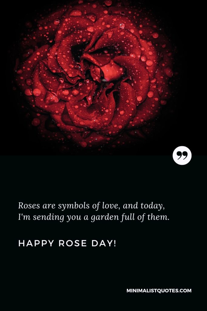 Happy Rose Day Wishes: Roses are symbols of love, and today, I'm sending you a garden full of them. Happy Rose Day!