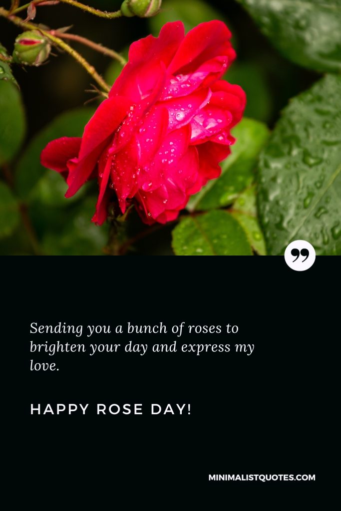Happy Rose Day Wishes: Sending you a bunch of roses to brighten your day and express my love. Happy Rose Day!