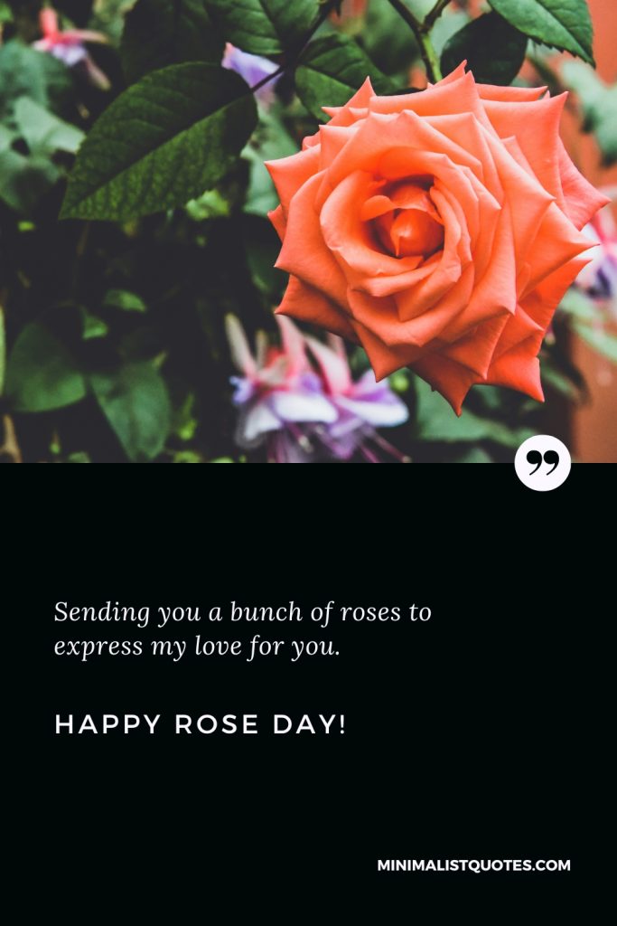 Happy Rose Day Wishes: Sending you a bunch of roses to express my love for you. Happy Rose Day!