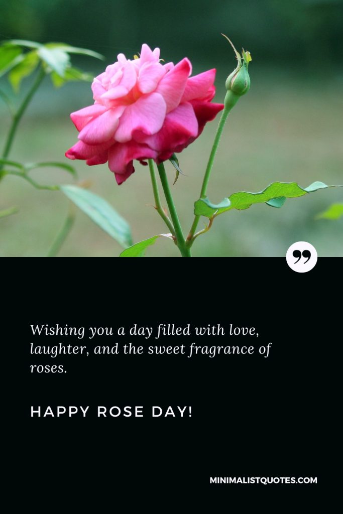 Happy Rose Day Wishes: Wishing you a day filled with love, laughter, and the sweet fragrance of roses. Happy Rose Day!
