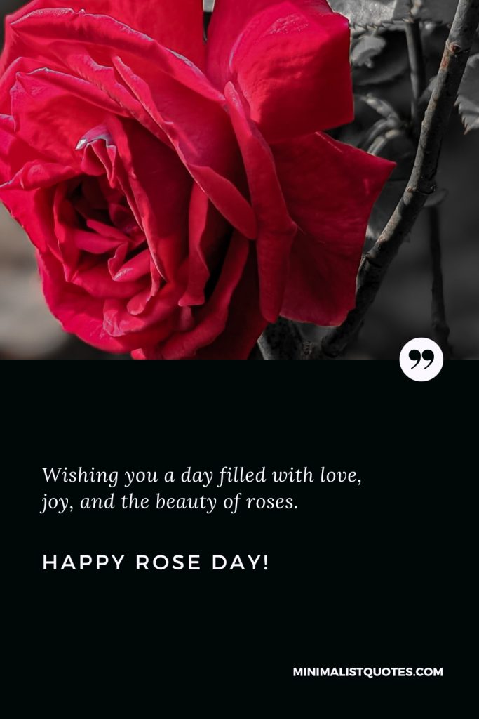 Happy Rose Day Wishes: Wishing you a day filled with love, joy, and the beauty of roses. Happy Rose Day!